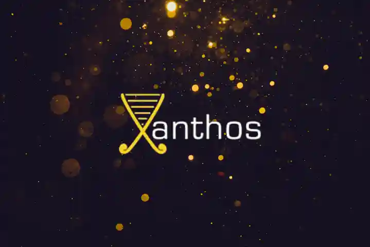Xanthos Timeline 2002 Old Xanthos Logo